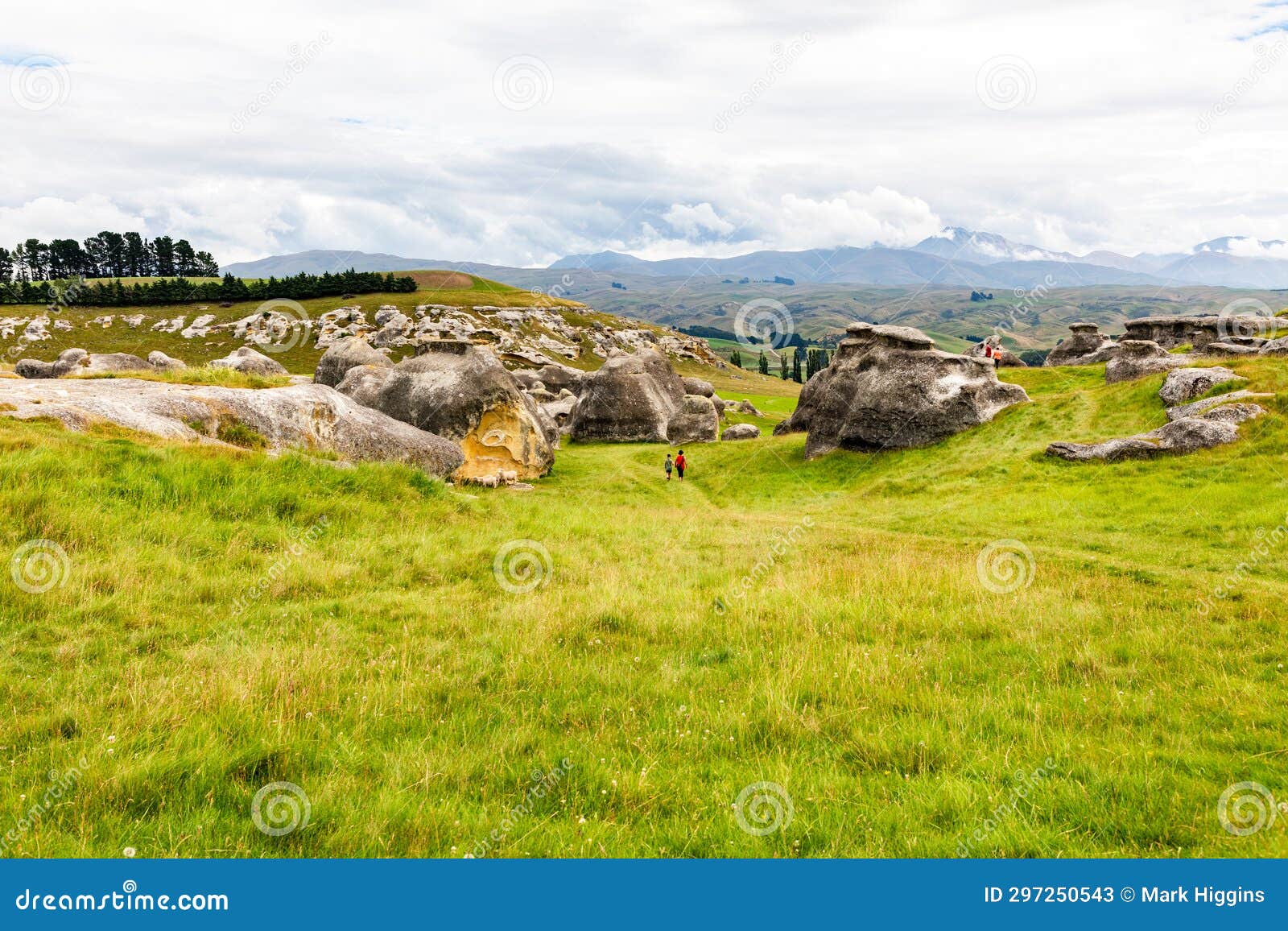 the very large elephant rocks in new zealand